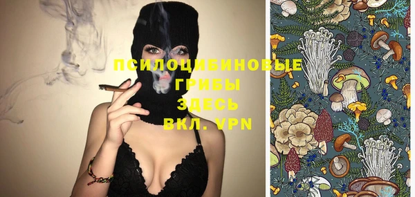 тгк Абинск