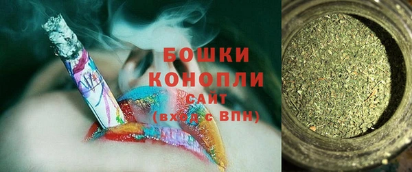 PSILOCYBIN Алзамай