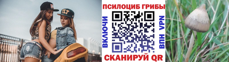 Псилоцибиновые грибы Psilocybe  Партизанск 