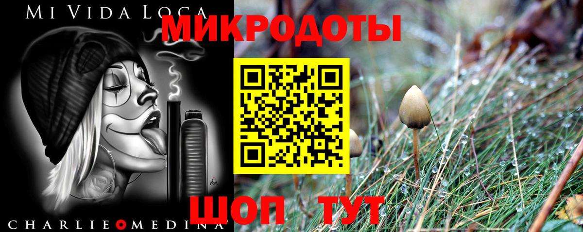 Галлюциногенные грибы MAGIC MUSHROOMS  Вход с VPN  Партизанск 